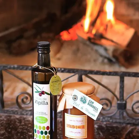 Hotel Borrell Meranges