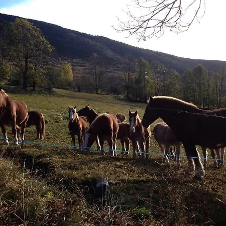 Hotel Borrell Meranges